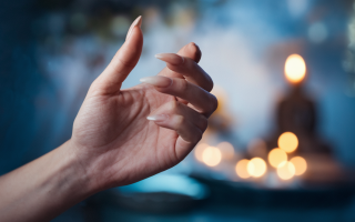 talon-gros-plan-lumiere-douce